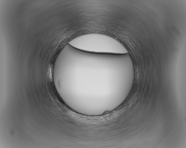 X0000112480042200908171022