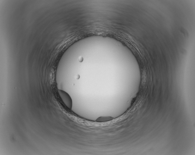 X0000112480043200908171022