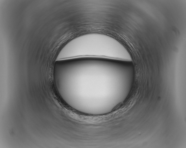 X0000112480044200908171022