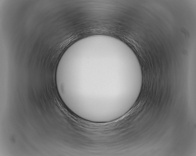 X0000112480047200908171022