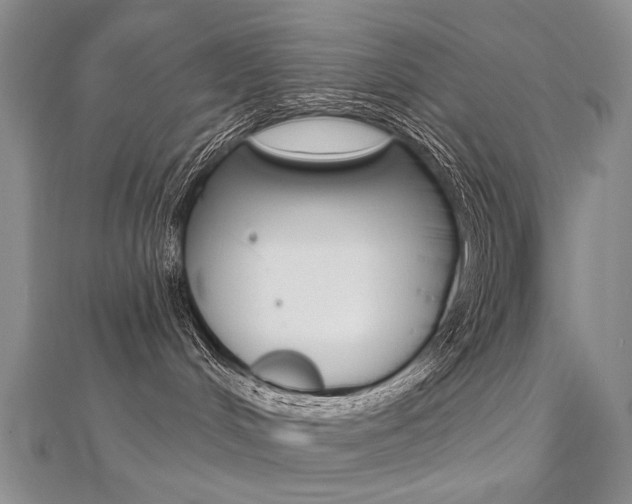 X0000112480048200908171022