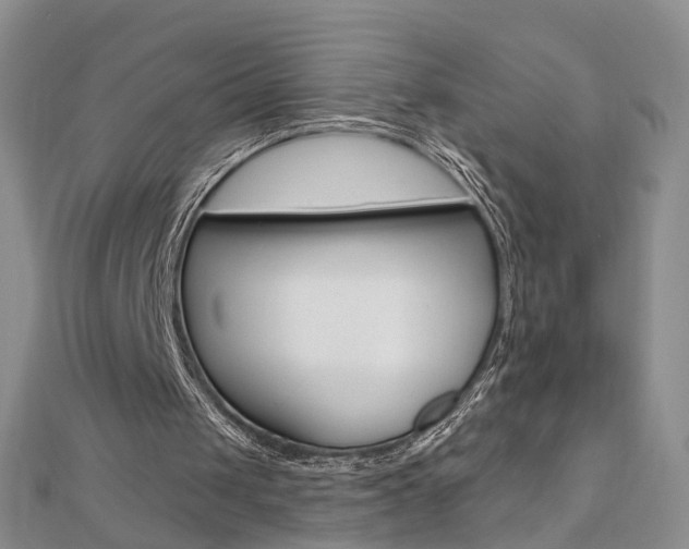 X0000112480049200908171021