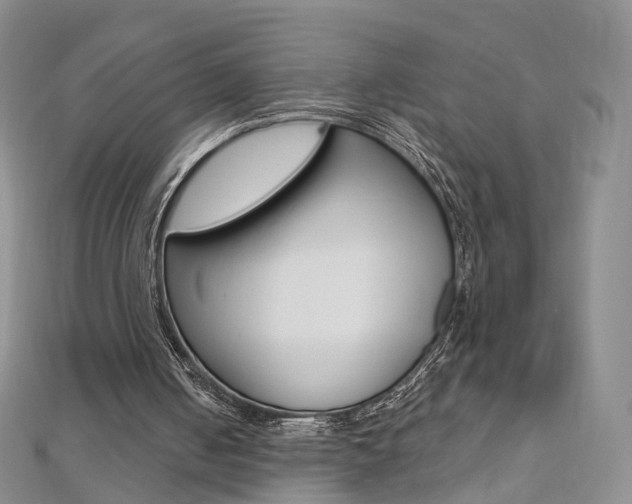 X0000112480050200908171021
