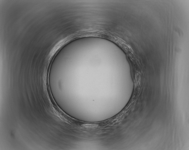 X0000112480051200908171021