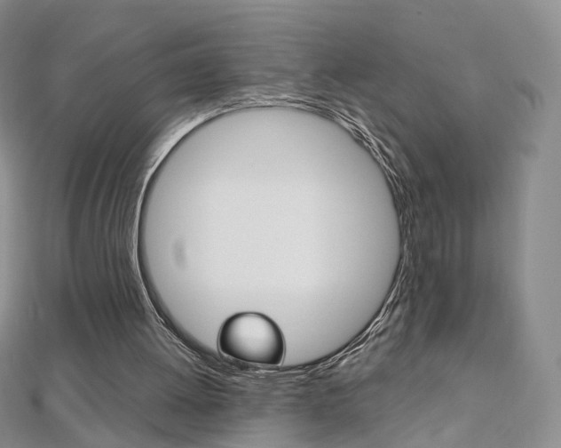 X0000112480052200908171021