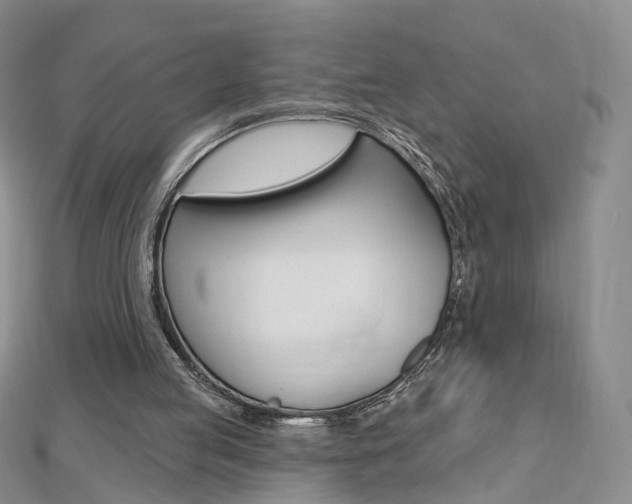 X0000112480053200908171021