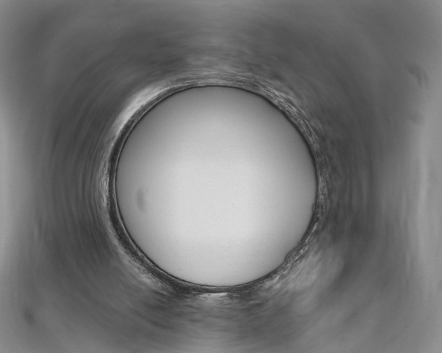 X0000112480054200908171021