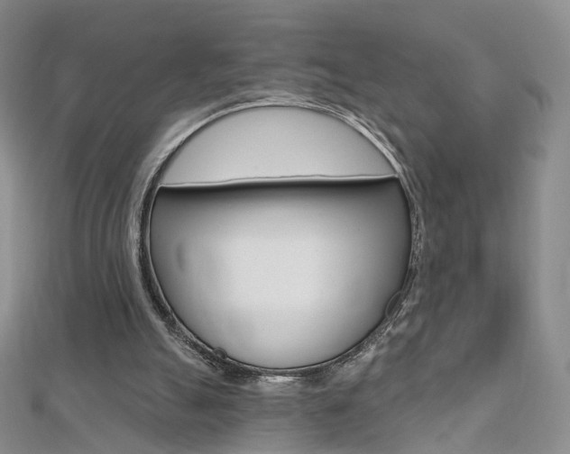 X0000112480055200908171021