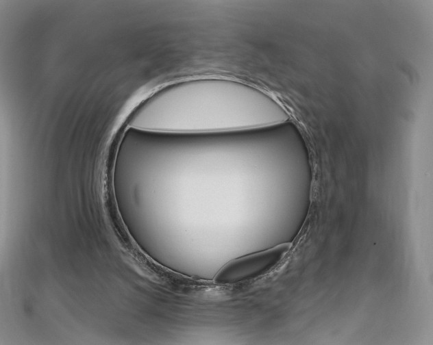 X0000112480056200908171021
