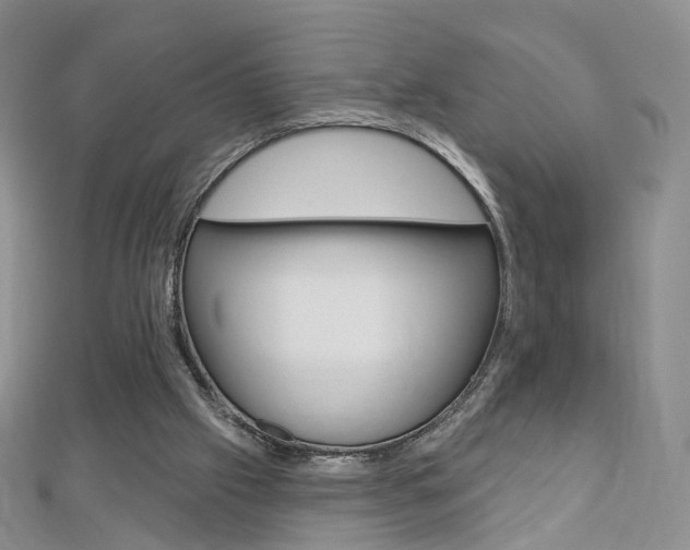 X0000112480057200908171021