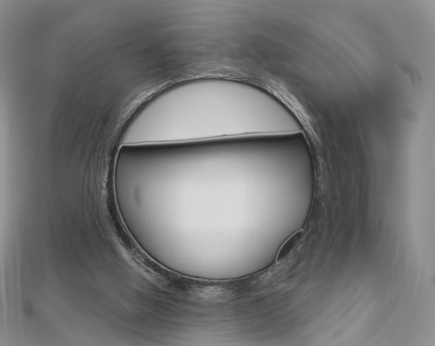 X0000112480058200908171021