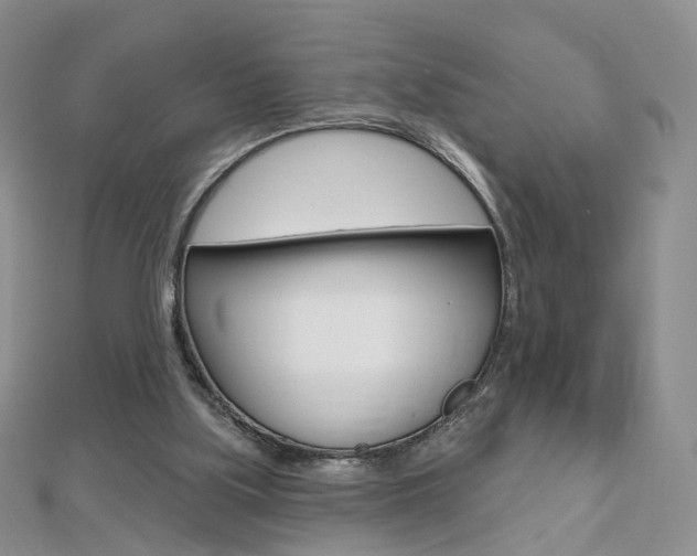 X0000112480059200908171021