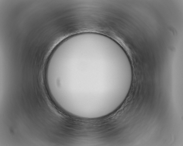 X0000112480060200908171021