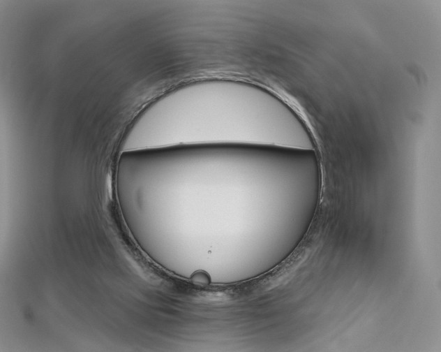 X0000112480061200908171021