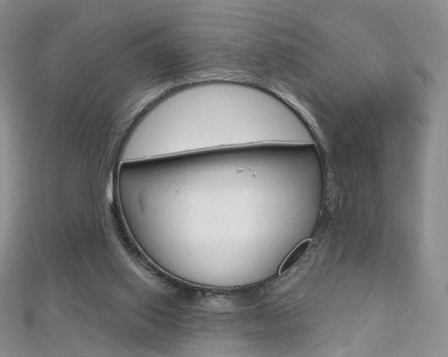 X0000112480062200908171022