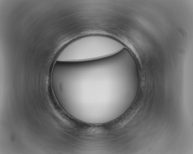 X0000112480063200908171022