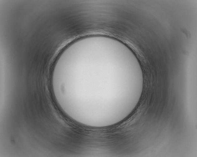 X0000112480064200908171022