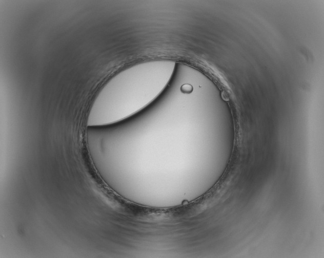 X0000112480065200908171022