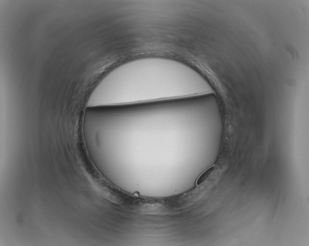 X0000112480066200908171022