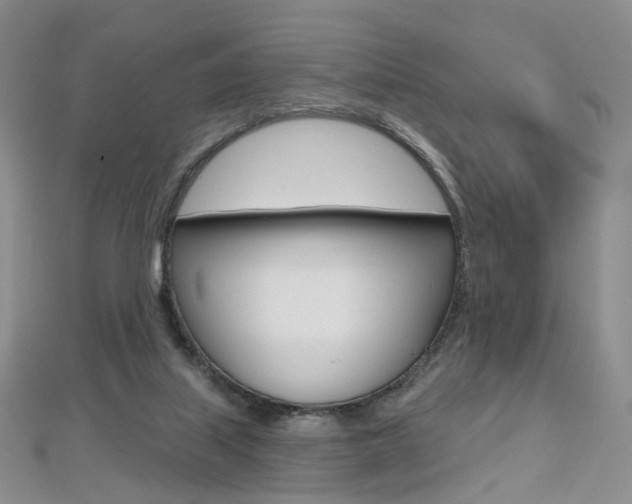 X0000112480067200908171022