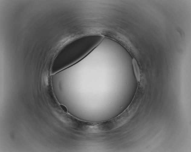 X0000112480068200908171022