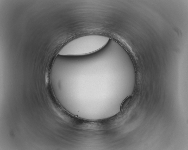 X0000112480069200908171022