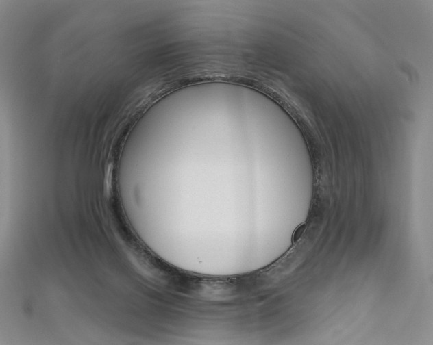 X0000112480070200908171022