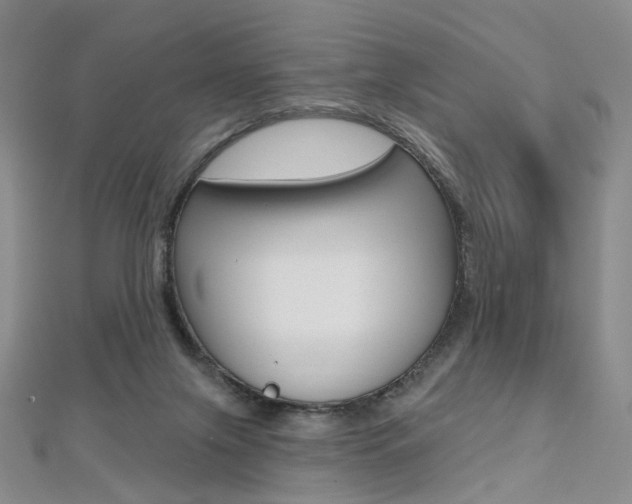 X0000112480071200908171022