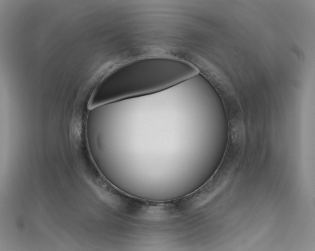 X0000112480072200908171022