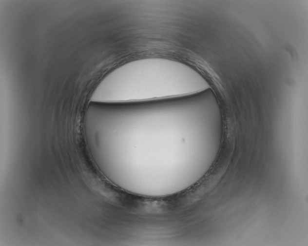 X0000112480073200908171022