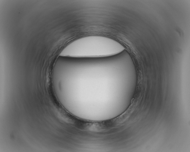 X0000112480074200908171022