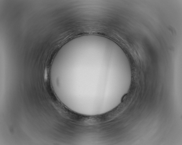 X0000112480075200908171022