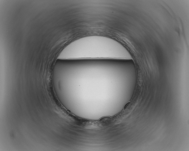 X0000112480077200908171022