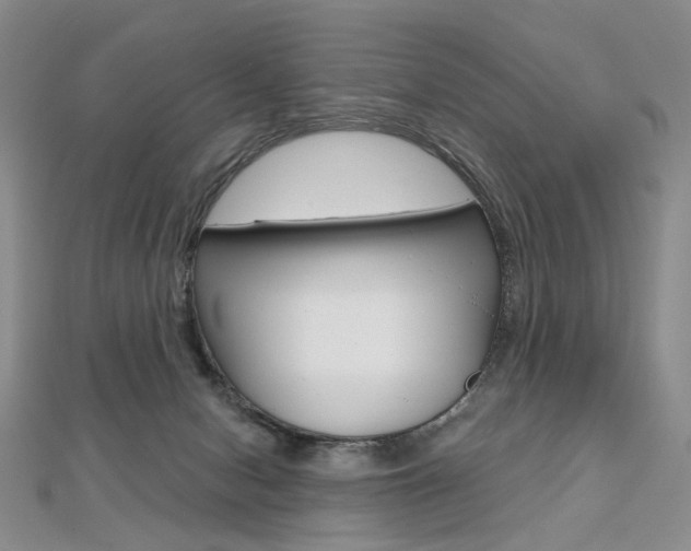 X0000112480078200908171022