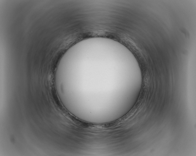 X0000112480079200908171022