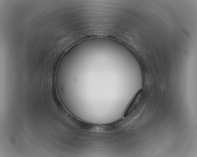 X0000112480080200908171022