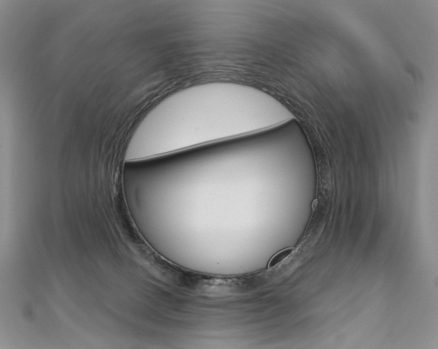 X0000112480082200908171022