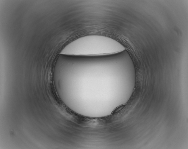 X0000112480083200908171022