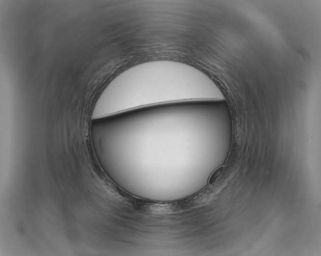 X0000112480085200908171022