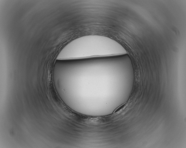 X0000112480086200908171022