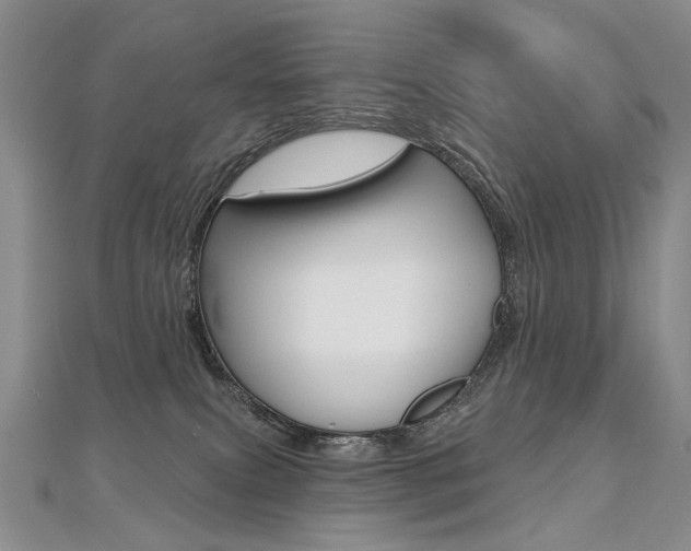 X0000112480087200908171022