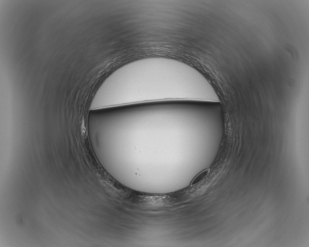 X0000112480089200908171022