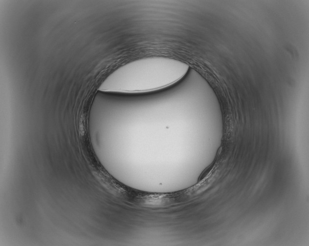 X0000112480090200908171022