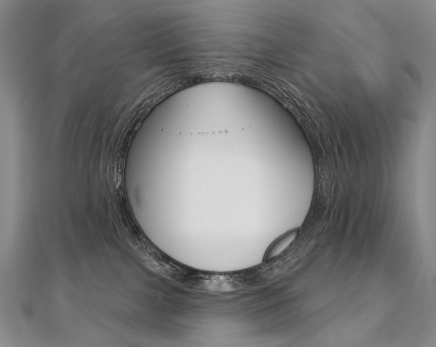 X0000112480091200908171022