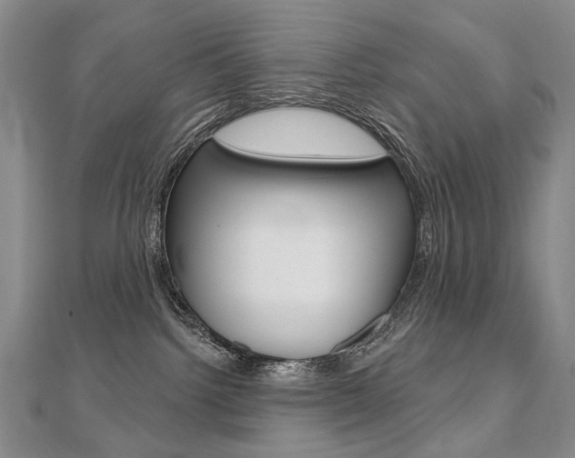 X0000112480092200908171022