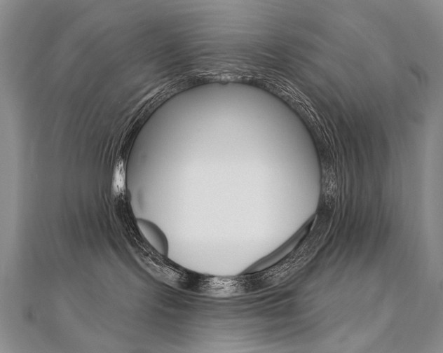 X0000112480095200908171022