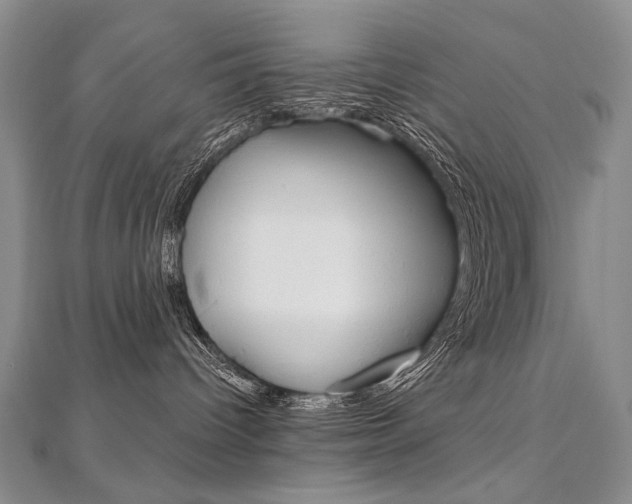 X0000112480096200908171022