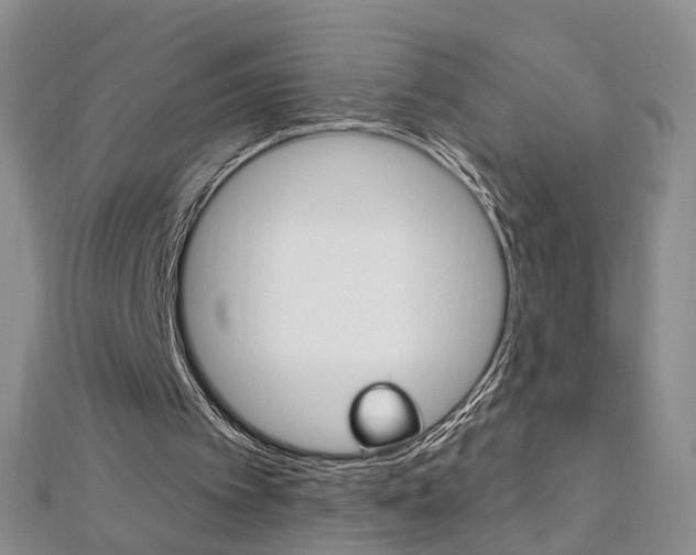X0000112480097200908171021