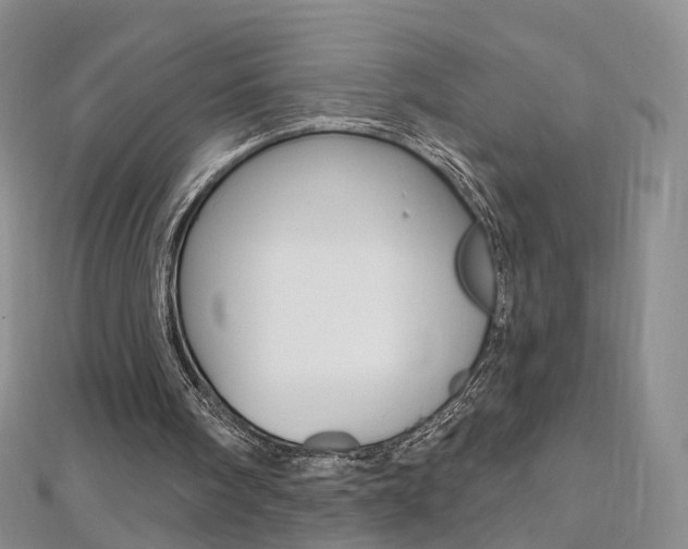 X0000112480098200908171021