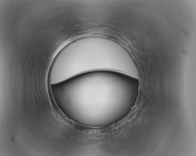 X0000112480100200908171021